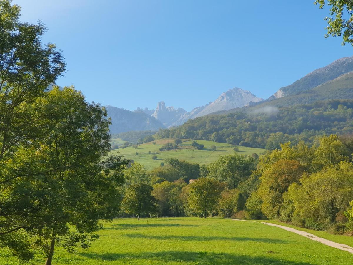 La Estancia De Cangas - Amplio Piso Con Garaje Onís Extérieur photo
